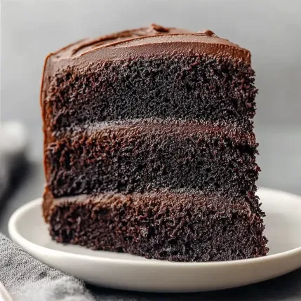 A slice of chocolate cake on a plate.